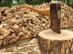 Готуємо дрова: Яким буде опалювальний сезон 2022/23 розказали в Харківській ОВА