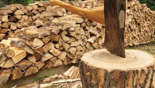 Готуємо дрова: Яким буде опалювальний сезон 2022/23 розказали в Харківській ОВА