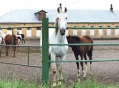 РФ запустила "Шахед" на кінзавод в Харківській області: подробиці