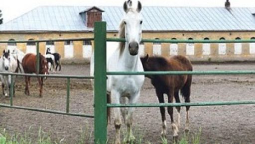 РФ запустила "Шахед" на кінзавод в Харківській області: подробиці