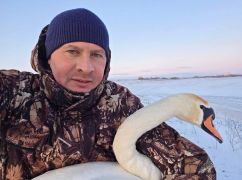 На Харьковщине аграрии спасли едва не замерзшего в поле лебедя