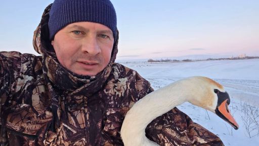На Харьковщине аграрии спасли едва не замерзшего в поле лебедя