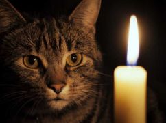 На Харківщині запровадили погодинні відключення світла: графік на 9 квітня