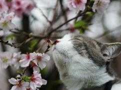 Що чекає на Харків 26 березня: прогноз погоди