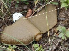 В Харьковской области мина оторвала женщине стопу