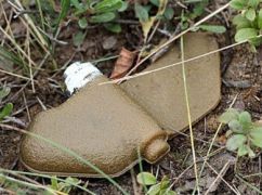 На Харківщині чоловік підірвався під час косіння трави