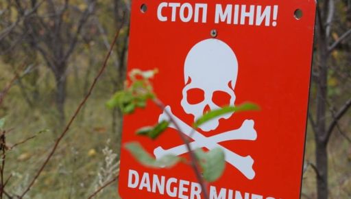 В Харьковской области на российских минах за сутки взорвались шесть гражданских лиц - Синегубов