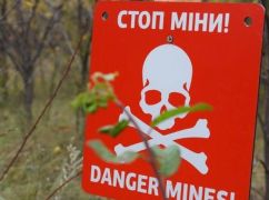 В лесу на Балаклейщине на мине взорвалась машина: Погибли трое грибников