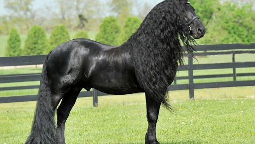 Фельдман показав нового жителя свого екопарку під Харковом