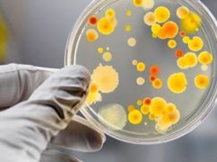 В Харьковской области выросла заболеваемость сальмонеллезом и коклюшем