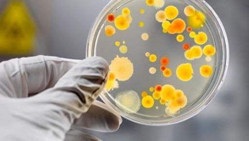 В Харьковской области выросла заболеваемость сальмонеллезом и коклюшем