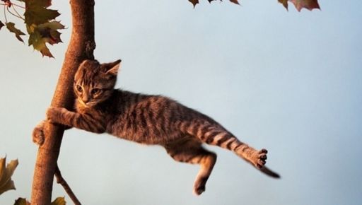 Негода на Харківщині 28 квітня: про що попереджають синоптики