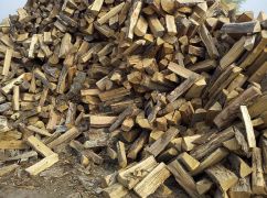 В оккупированной общине на Харьковщине цены на дрова выросли вдвое