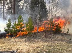 На Харківщині через обстріли горіли 6 га лісу