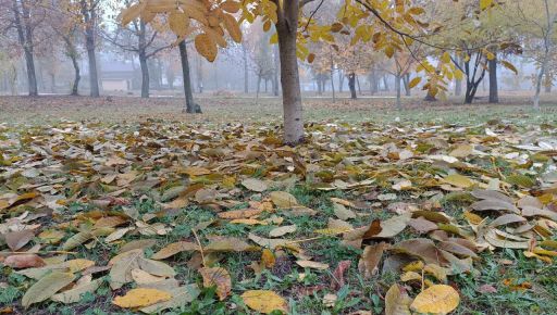 На Харьковщине обещают третьи сутки дождей
