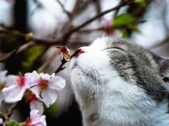 Какая будет погода в Харькове 22 апреля: прогноз синоптиков