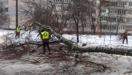 У Харкові внаслідок сильного вітру впали 31 дерево та майже 200 гілок — мерія