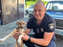 На Чугуївщині поліцейські врятували від голодної смерті собаку Джавеліну