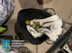 Харьковчанин выращивал коноплю и держал дома гранаты - прокуратура
