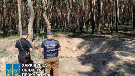 Полтора гектара леса под Харьковом уничтожили рашисти