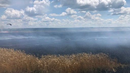 На Харківщині згоріло 3 га пшеничного поля: Фермери власноруч гасили пожежу