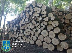 "Черные лесорубы” на Харьковщине: сколько деревьев нарубили мужчины