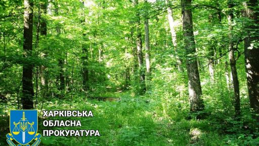 Участок земли в заповеднике "Гомольшанские леса” на Харьковщине вернули в госсобственность через суд