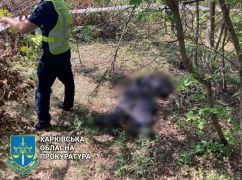 Под Харьковом эксгумировали тело гражданского, которого весной казнили рашисты