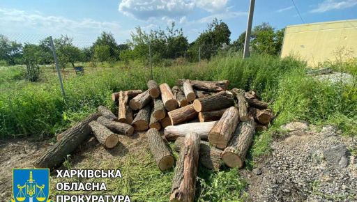 Не успел убежать: "Черного" лесоруба будут судить на Харьковщине