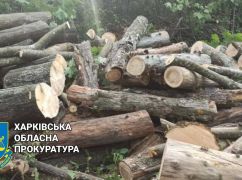 "Черного" лесоруба разоблачили на Харьковщине правоохранители: Сколько деревьев срубил мужчина