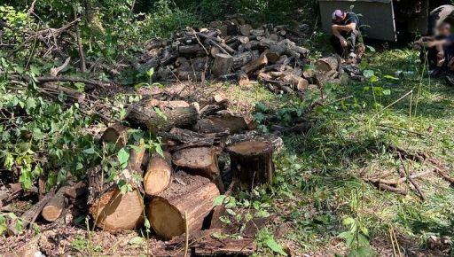 На Харьковщине рецидивист незаконно вырубил почти полторы сотни деревьев