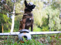 Нацвардейцы рассказали о прелестях вражеского БПЛА, который нашла служебная собака на Харьковщине