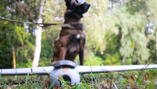 Нацвардійці розповіли про принади ворожого БПЛА, що знайшов службовий собака на Харківщині