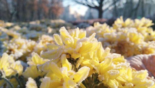 Перші заморозки на Харківщині: Синоптики озвучили прогноз погоди