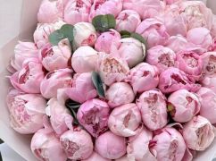 В Харькове выросли цены на цветы: какая стоимость накануне 8 марта