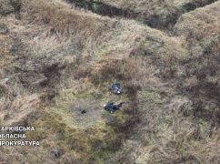Искали скот и погибли: На Харьковщине двое мужчин взорвались на российской мине