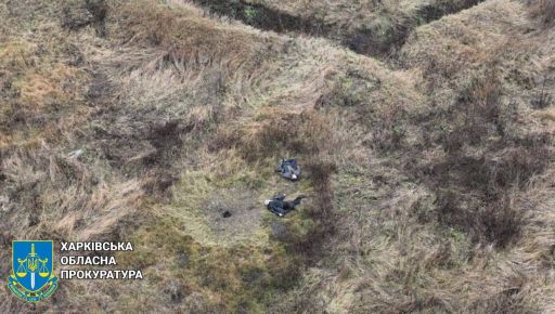 Искали скот и погибли: На Харьковщине двое мужчин взорвались на российской мине