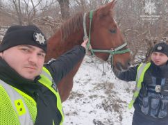 Впоралися з незвичним завданням: У Харкові патрульні провели нетривіальне затримання