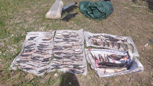 До 3 лет ограничения свободы: В Харьковской области схватили браконьера с сетками