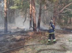 Мощный обстрел на Харьковщине: Оккупанты подожгли более 2 га леса