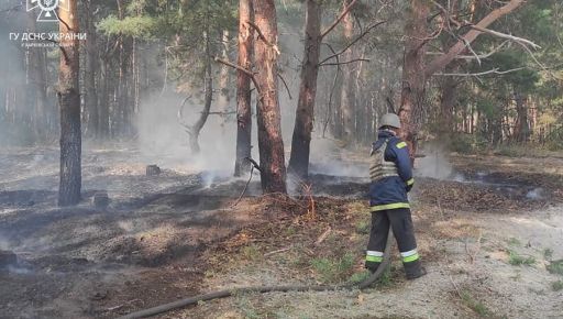 Потужний обстріл на Харківщині: Окупанти підпалили більше 2 га лісу