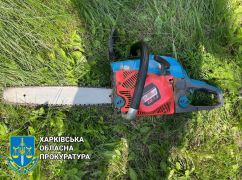 На Харківщині під суд піде лісоруб, який нарубав ясенів на 120 тис. грн