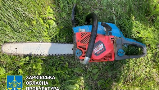 На Харківщині під суд піде лісоруб, який нарубав ясенів на 120 тис. грн