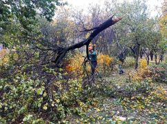 В Харькове сообщили о состоянии двух пострадавших в результате урагана
