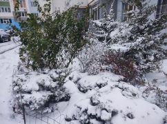 Харків засипало першим снігом: Кадри з вулиці
