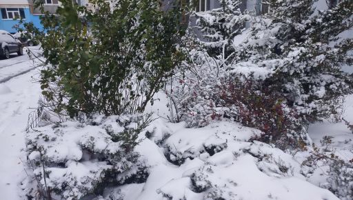Харків засипало першим снігом: Кадри з вулиці