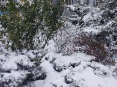 В Харькове обещают снегопад и потепление: Погода 14 января