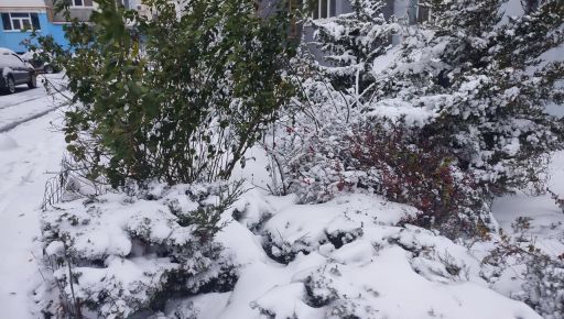 В Харькове обещают снегопад и потепление: Погода 14 января