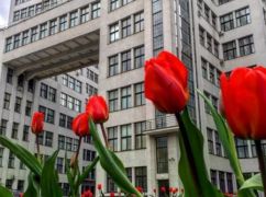 На клумбах біля Держпрому висадять тюльпани за майже 500 тис. грн – ХАЦ