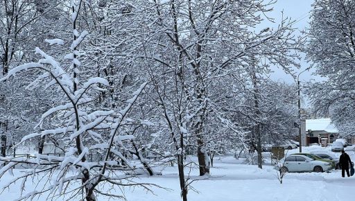В Харьковской области 25 января синоптики прогнозируют метель
